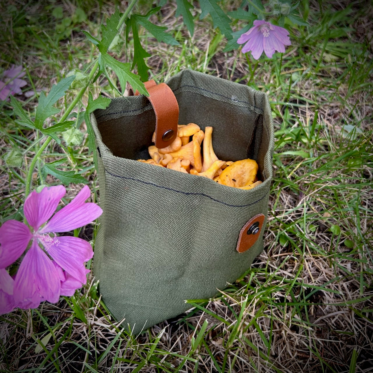 Gráinne · Sacs de cueillette